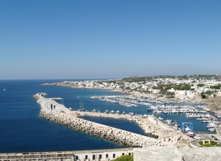 leuca