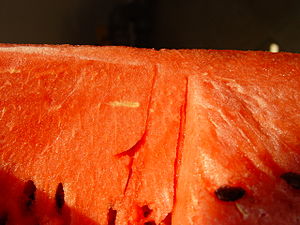 English: Watermelon - Close up Italiano: Angur...