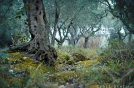 Quando s’incontrano foto e poesia. Stefano Crety e Agostino Casciaro