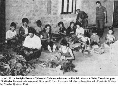 famiglie-collemeto-filzano-il-tabacco-a-civita-c-anni-60