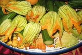 Le zucchine e i loro fiori nella cucina salentina