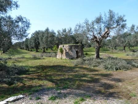 Campagna salentina (ph Gianpiero Colomba)