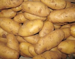 Le patate del Salento