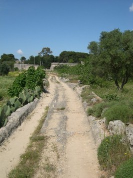 Il villaggio neolitico di Riesci