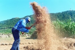 Per la ientulatura, una ventola di lavatrice rottamata