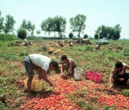 La mandria è sfiancata…