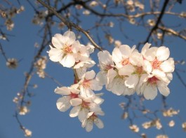 8 consigli per la primavera