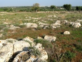 La Terra e un figlio del Sud