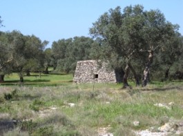 Contadini e colonìa. Il matrimonio con la terra