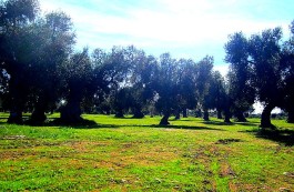 Un sacco di juta bello largo