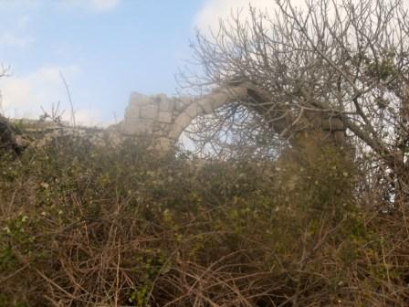 Particolare di arco ogivale (foto di Romualdo Rossetti)