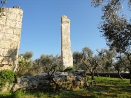 Osanna e menhir