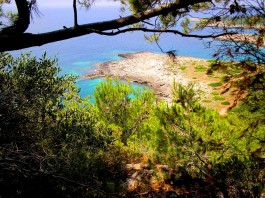 Porto Selvaggio – Palude del Capitano. Alcune osservazioni