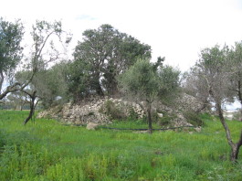 Una probabile nuova specchia in territorio di Alliste