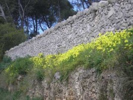 Ai lati della strada