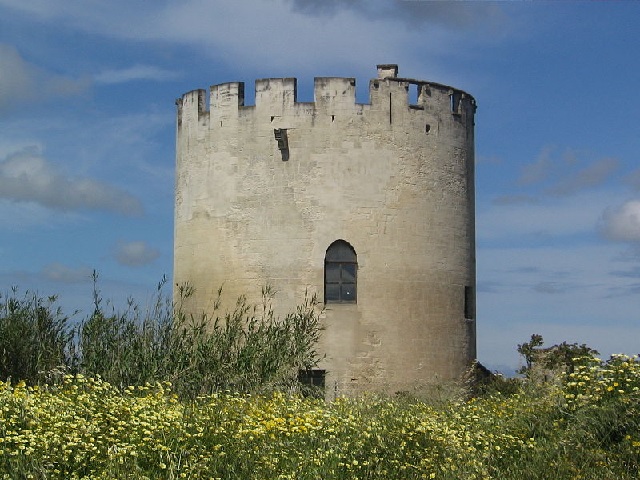 Immagine tratta da http://it.wikipedia.org/wiki/File:Torre_di_Belloluogo_Lecce.jpg