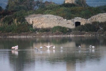 Salina dei Monaci