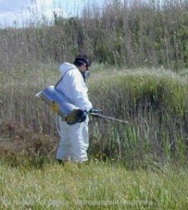 Pesticidi e diserbanti, al Salento il triste primato