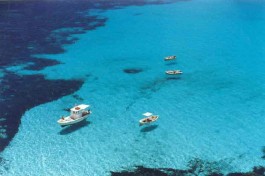 Lampedusa, non soltanto isola di sogno, ma anche triste teatro di tragedie e catastrofi umane