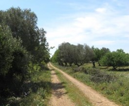 Settembre in Salento