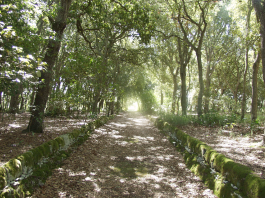 12 e 13 aprile. Appuntamento con Giardini e Paesaggi aperti in Puglia