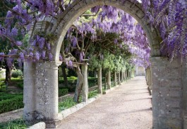 Le Verdi Stanze. I giardini del Salento in mostra