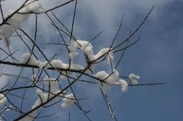 Batte il freddo il grigio gennaio