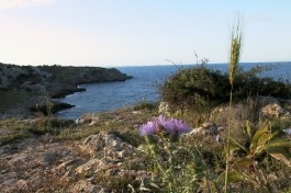 Portoselvaggio nella poesia di un neretino contemporaneo