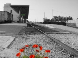 Le Ferrovie Sud-Est macinano più debiti che chilometri