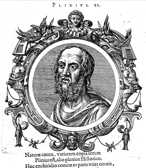 Immagine tratta da Ioannes Sambucus, Icones veterum aliquot ac recentium medicorum Philosophorumque di Ioannes Sambucus, Ex officina Christophori Plantini, Antuerpiae, 1574