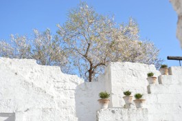 Masseria San Lasi… a Salve