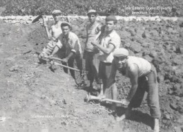 Un lavoro agricolo del tempo che fu: la salentina scatena