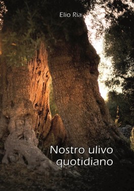 Libri| Nostro ulivo quotidiano