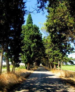 Ai Corsari (Villaggio Resta, Nardò): la scuola, la via