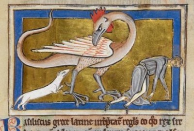 Fig. 3. Il basilisco, creatura mostruosa che si voleva generata da un uovo deposto da un gallo anziano, ma covato da una bestia velenosa come il rospo, l’aspide o il drago. Figura ibrida, ha la testa, le ali e le zampe di un gallo, ma il corpo termina a forma di serpente. E’ sormontato da una cresta carnosa simile ad una corona (da cui il nome che significa “piccolo re”). E’ il “re dei serpenti” e tutti lo temono, tranne la donnola, come si vede in questa splendida miniatura. Londra, British Library, Royal MS 12 C XIX, fol. 63v.