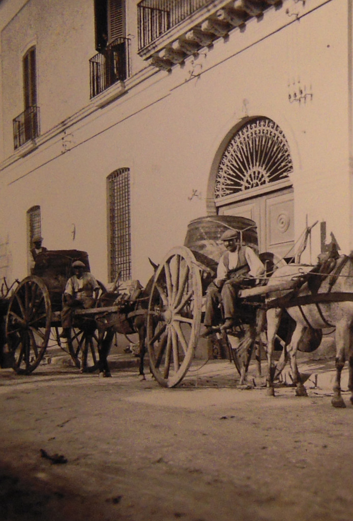 Lavoranti alla vendemmia