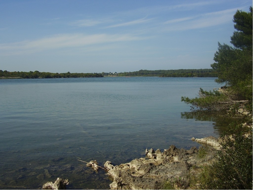 immagine tratta da https://it.wikipedia.org/wiki/Laghi_Alimini#/media/File:Laghi_Alimini_Otranto.jpg