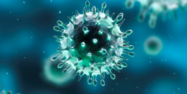 Coronavirus: alla vigilia della fase 3