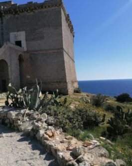 Tornando a Sud: viaggi in un Salento che diventa casa, attraverso gli occhi degli altri (VII)