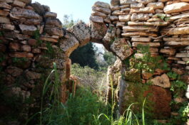 L’area archeologica di Provigliano e l’antico popolamento sulla Serra dei Cianci